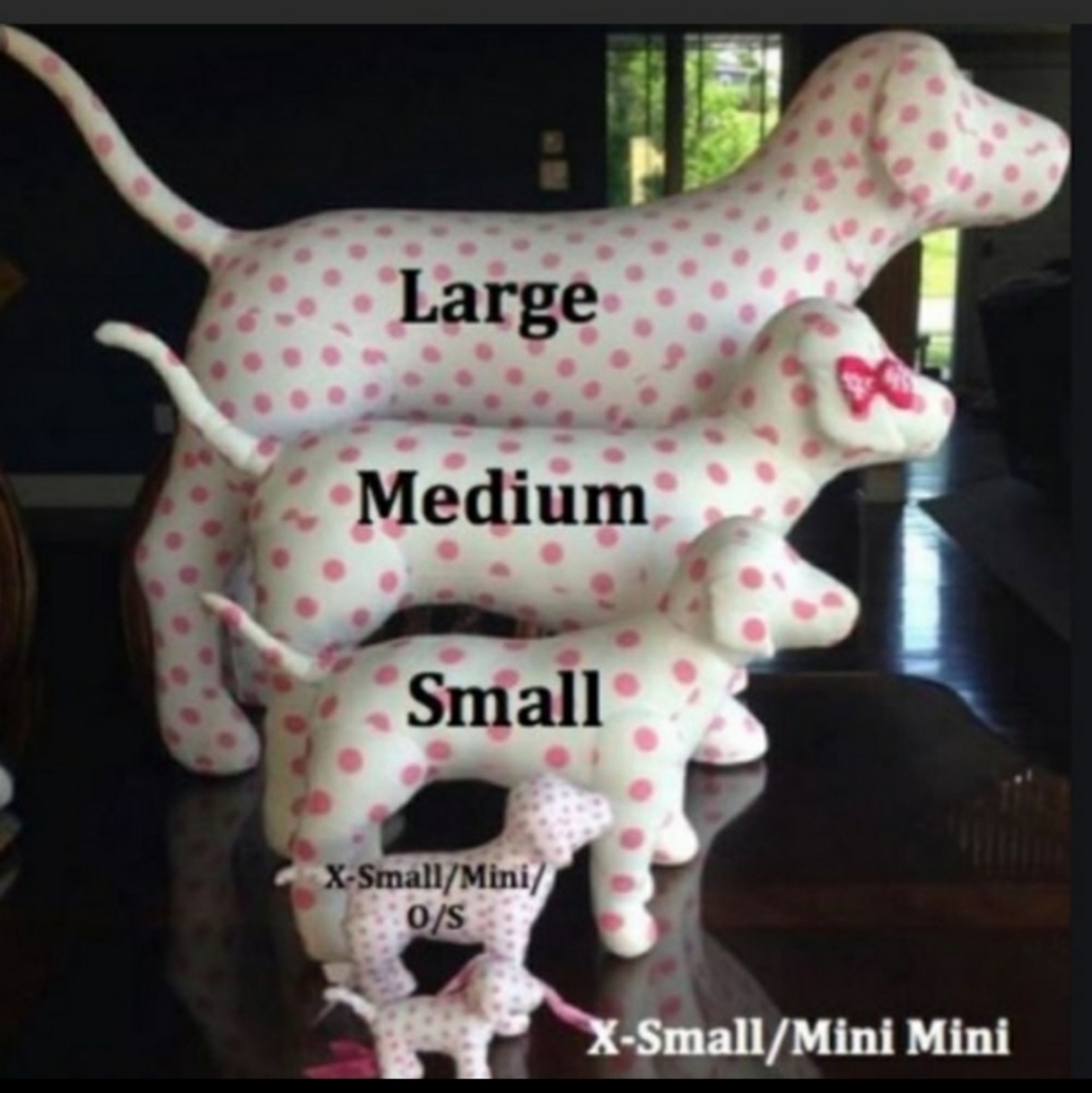 I am looking for these dogs